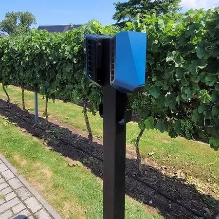 Abalona & Dendermonde