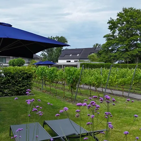 Hotel Abalona & Dendermonde